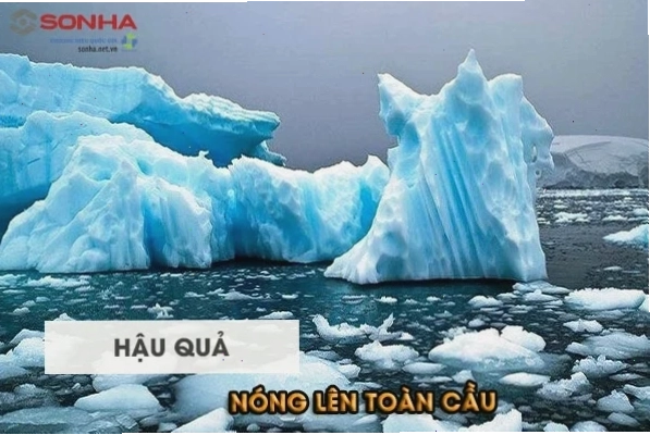 Hậu quả của sự nóng lên toàn cầu ảnh hưởng đến đời sống con người và sinh vật