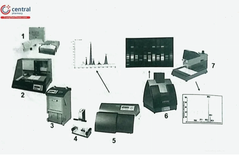 Hệ thống HPTLC của hãng Camag