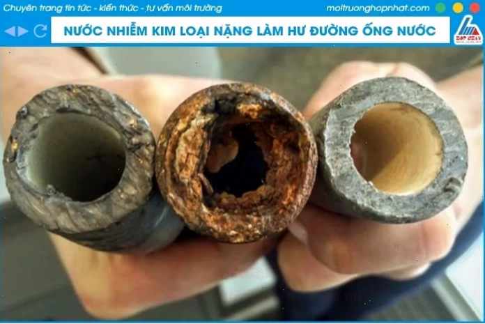 Hình ảnh minh họa tác hại của nước nhiễm kim loại nặng