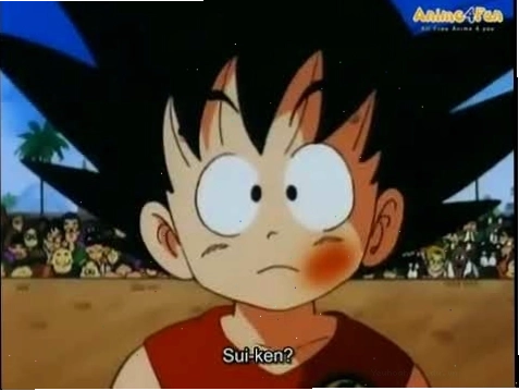 Master Roshi Drunken Style Fight Dragon Ball