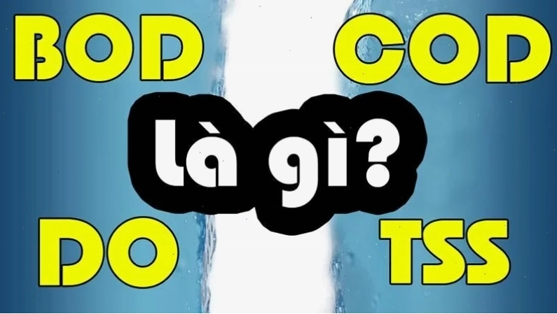Minh họa các chỉ số DO BOD COD TSS trong đánh giá chất lượng nước