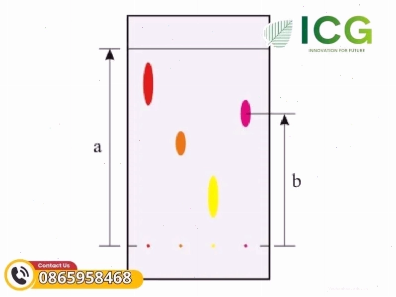 Minh họa khái niệm Sắc ký lớp mỏng TLC