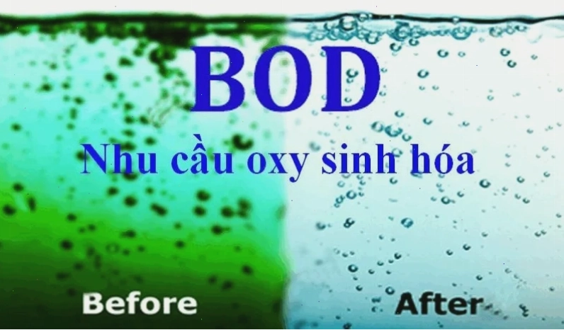 Minh họa quá trình vi sinh vật tiêu thụ oxy để phân hủy chất hữu cơ