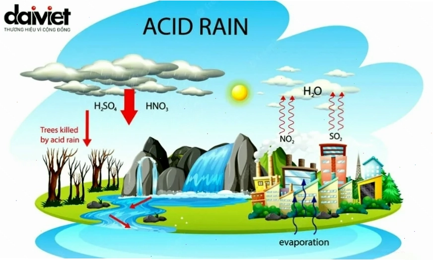 Mưa axit là gì và nguồn gốc phát sinh
