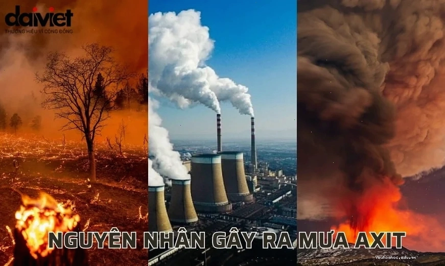 Nguyên nhân gây ra mưa axit từ hoạt động công nghiệp và tự nhiên