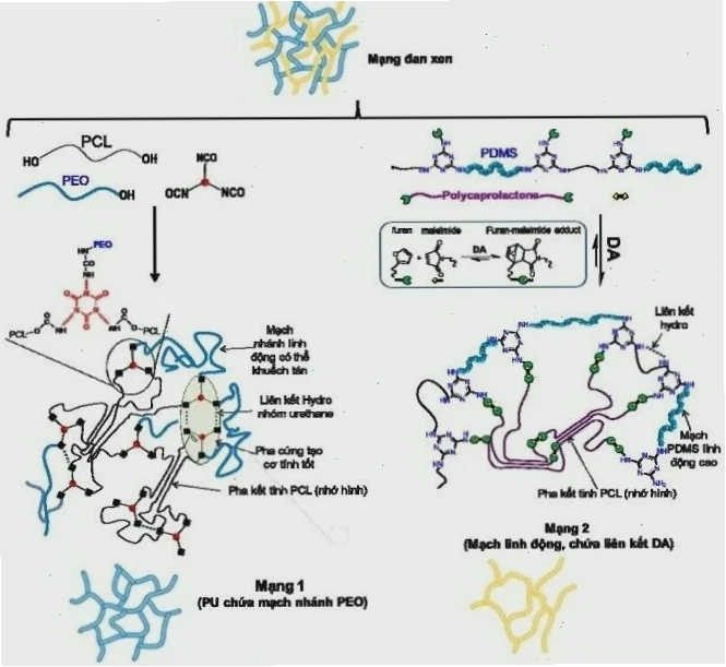 Phản ứng Diels-Alder nền tảng tổng hợp hữu cơ hiện đại