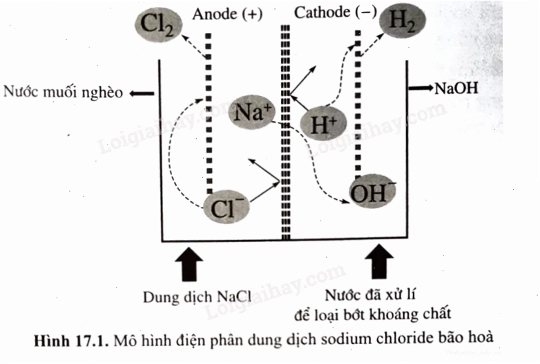 Phản ứng hóa học giúp bột nở làm bánh nở xốp