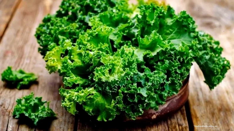 Rau chân vịt giàu chất chống oxy hóa