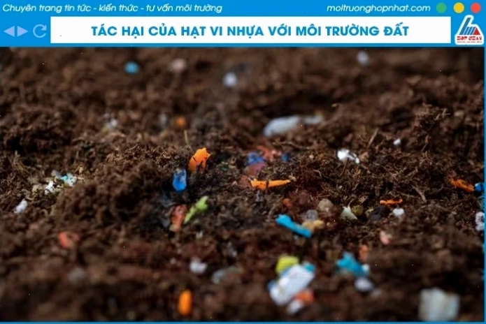 Tác hại của hạt vi nhựa đối với môi trường đất