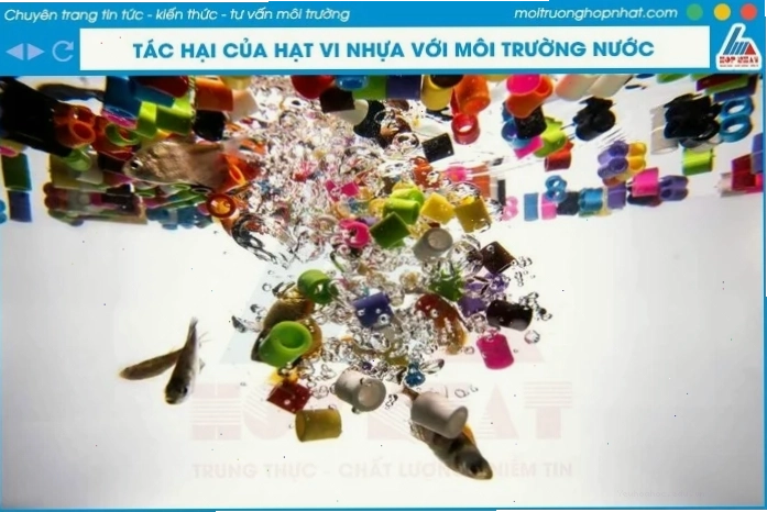 Tác hại của hạt vi nhựa đối với môi trường nước