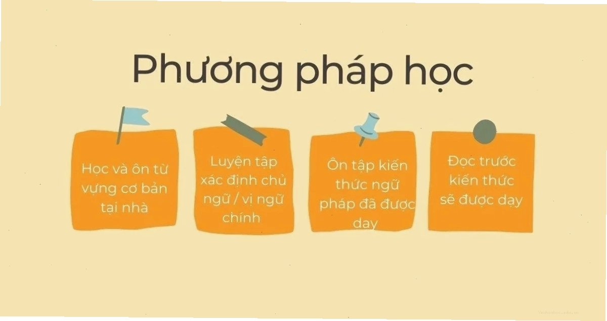 phương pháp học tập hiệu quả cho người mất gốc