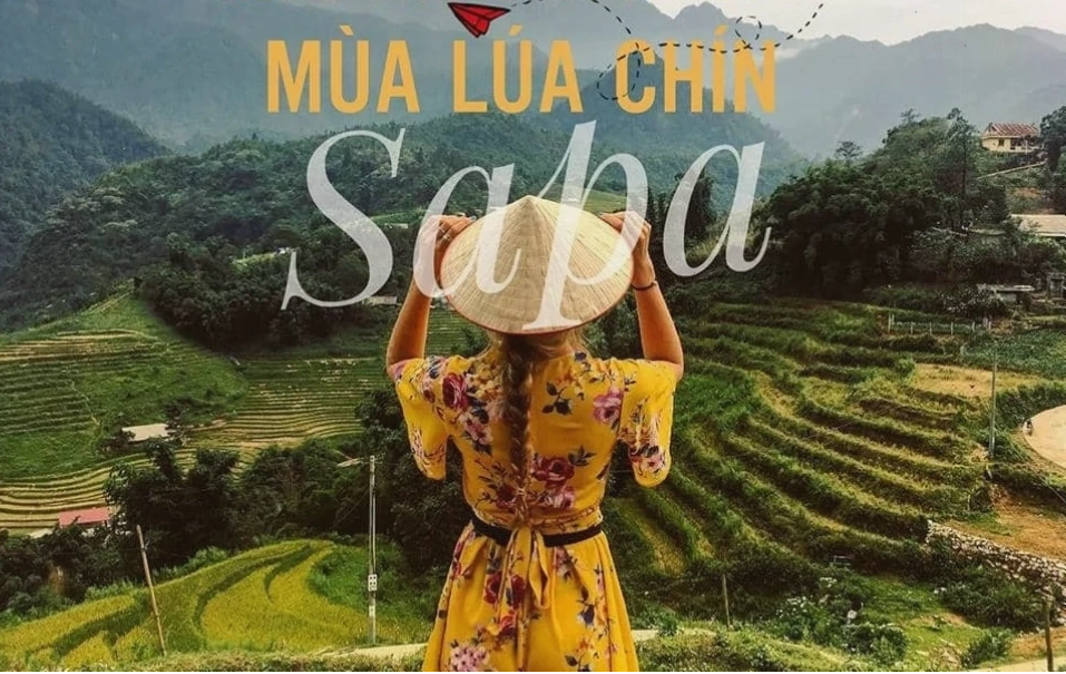 tour du lịch Sapa mùa lúa chín
