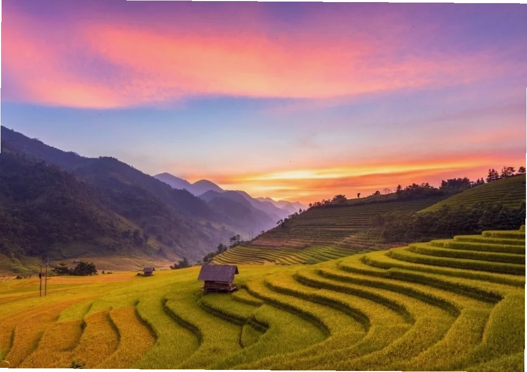 tour du lịch Sapa mùa lúa chín