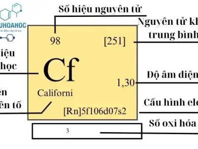 Nguyên tố Californi: Bí ẩn của chất phóng xạ 
