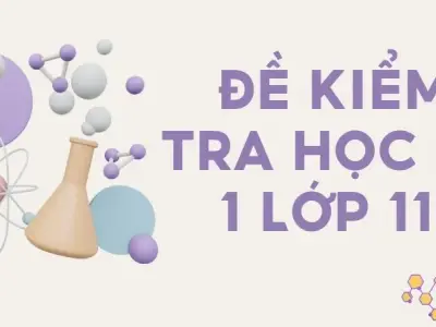 Đề kiểm tra học kì 1 lớp 11 môn Hóa - Có lời giải