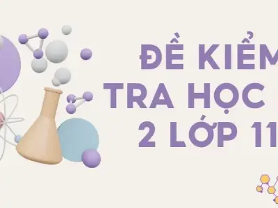 Đề thi học kỳ 2 lớp 11 môn Hóa - Có lời giải chi tiết