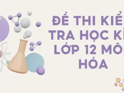 Đề thi kiểm tra học kì 2 môn Hóa lớp 12 có lời giải chi tiết