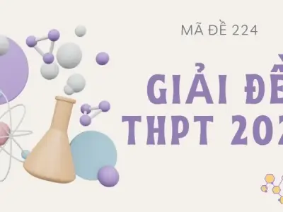 Giải chi tiết đề thi THPT Quốc gia 2022 môn Hóa - Mã 224
