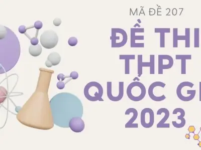 Giải chi tiết đề thi THPT Quốc gia 2023 mã đề 207
