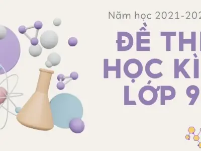 Đề thi học kì I môn Hóa lớp 9 năm học 2021-2022