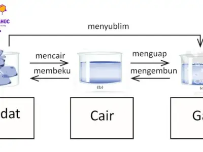 Sự biến đổi chất