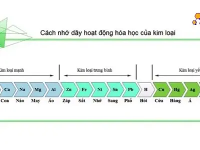 Dãy hoạt động hóa học của kim loại