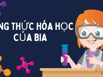 Công thức hóa học của bia - Tìm hiểu phản ứng trong quá trình sản xuất bia