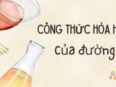 Công thức hóa học của đường - Tìm hiểu cấu trúc C6H12O6