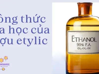 Công thức hóa học của rượu etylic là gì? Tìm hiểu chi tiết về hợp chất 