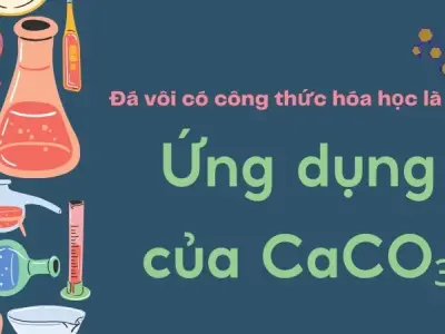 Đá vôi có công thức hóa học là gì? Ứng dụng của CaCO₃ trong đời sống