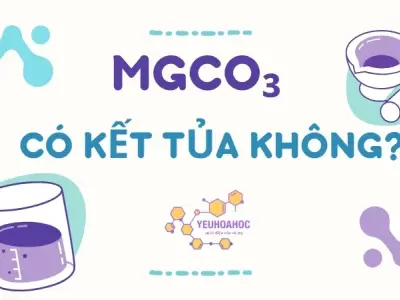 MgCO₃ có kết tủa không? Tính chất hóa học của MgCO₃