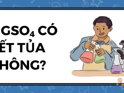 MgSO₄ có kết tủa không? Phân tích phản ứng hóa học 