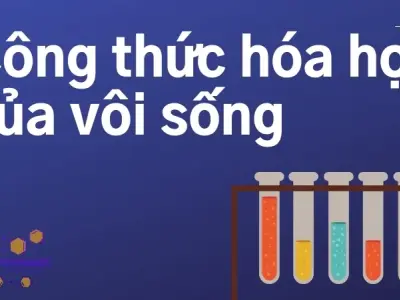 Vôi sống có công thức hóa học là gì? Tìm hiểu về CaO trong hóa học