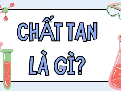 Chất tan là gì? Quá trình hòa tan chất tan