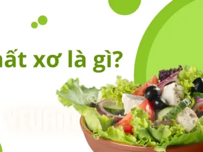 Chất xơ là gì? Tác động của chất xơ đến hệ đường ruột