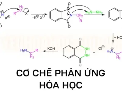 Cơ chế phản ứng hóa học - Các yếu tố ảnh hưởng đến cơ chế phản ứng hóa học