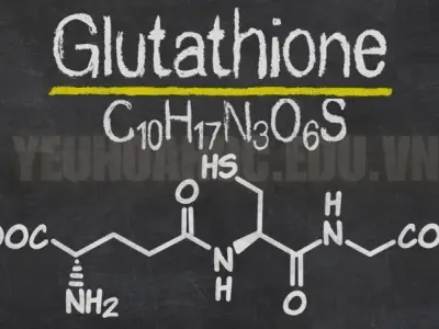 Glutathione có phải là “thần dược” chống oxy hóa cho cơ thể?