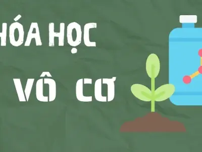 Hóa học vô cơ là gì? Các loại hợp chất vô cơ phổ biến