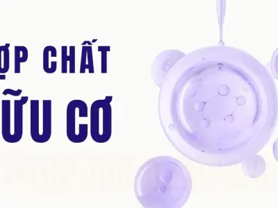 Hợp chất hữu cơ là gì? Phân loại các hợp chất hữu cơ