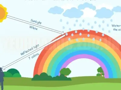 Tại sao lại có cầu vồng? Các biến thể của cầu vồng