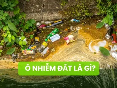 Các loại ô nhiễm đất và tác động đến sức khỏe con người và môi trường