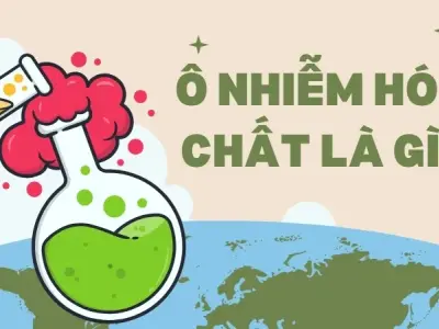 Ô nhiễm hóa chất là gì? Tác động khủng khiếp đến con người và môi trường