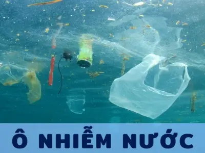 Các chất gây ô nhiễm nước - Hậu quả khôn lường và cách xử lý