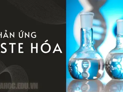 Este hóa là gì? Sự khác biệt giữa Este hóa và xà phòng hóa