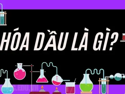 Hóa dầu là gì? Hóa dầu có ảnh hưởng gì đến môi trường?