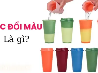 Tìm hiểu nguyên lý cốc đổi màu - Vì sao cốc có thể đổi màu khi nóng?