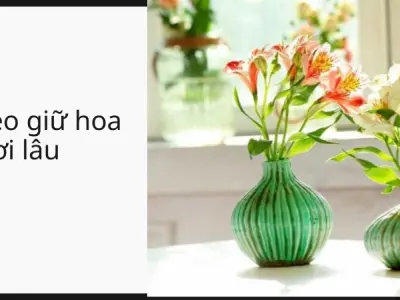 Trải nghiệm mẹo làm sao để hoa tươi lâu hơn gấp đôi