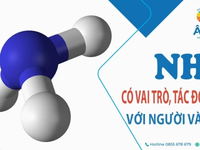 Amoniac (NH3) là gì? Giải mã vai trò và tác động