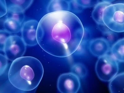 ATP: Đồng tiền năng lượng thiết yếu của tế bào