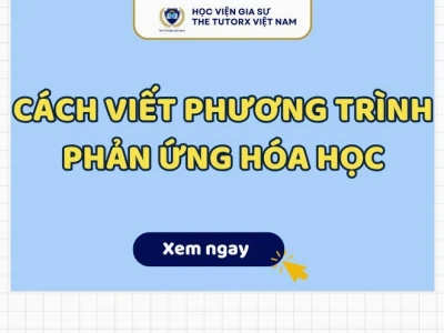 Cách Viết Sơ Đồ Phản Ứng Hóa Học Chi Tiết Và Chuẩn Xác